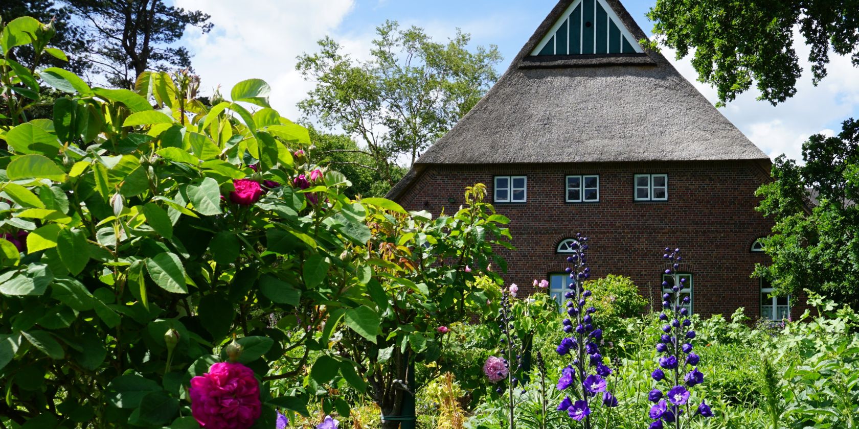 Historischer Münsterhof, © Urte Wurtzel Historischer Münsterhof, © Urte Wurtzel