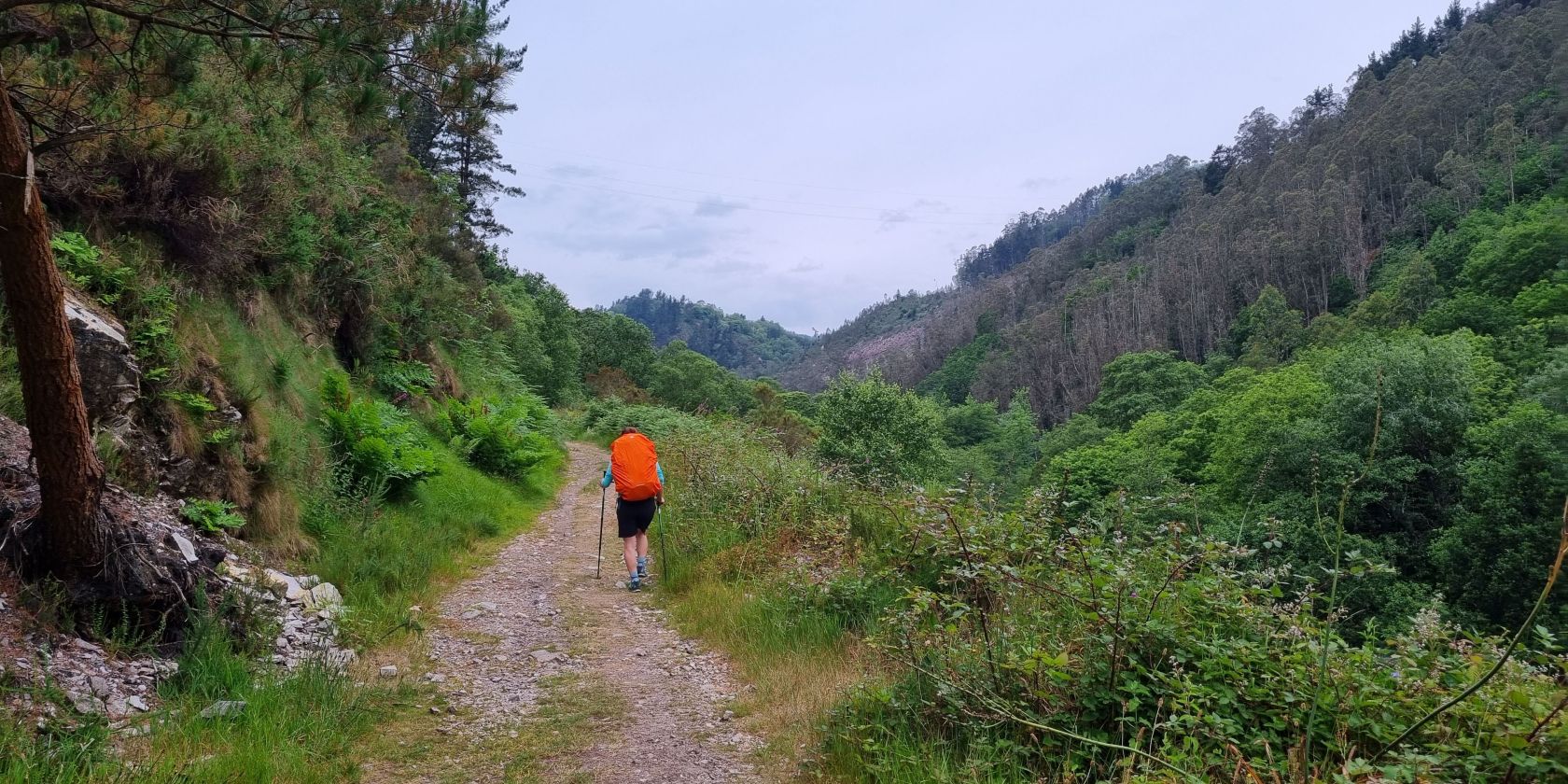 328, © Thomas Friedhoff 328, © Thomas Friedhoff