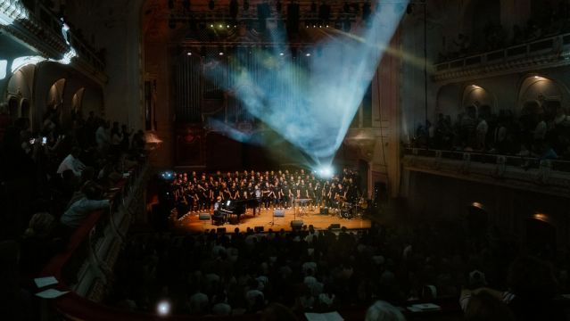 Die Hamburger Goldkehlchen, © Amelie Breher Die Hamburger Goldkehlchen, © Amelie Breher