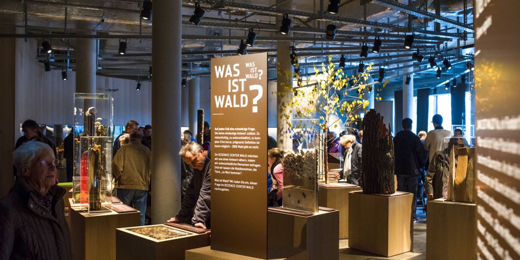 Wälderhaus, © Johannes Arlt Wälderhaus, © Johannes Arlt
