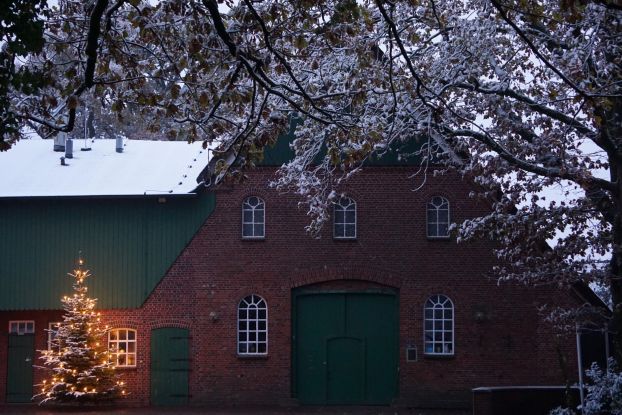 Weihnachtlicher Münsterhof, © Urte Wurtzel Weihnachtlicher Münsterhof, © Urte Wurtzel