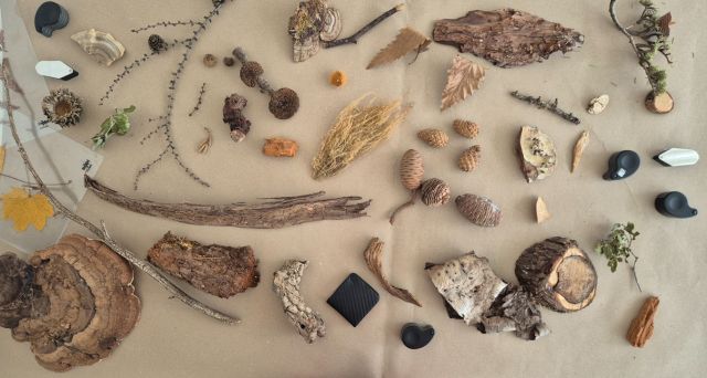 ars-eco-lab- Pilze-124725, © ars eco lab ars-eco-lab- Pilze-124725, © ars eco lab