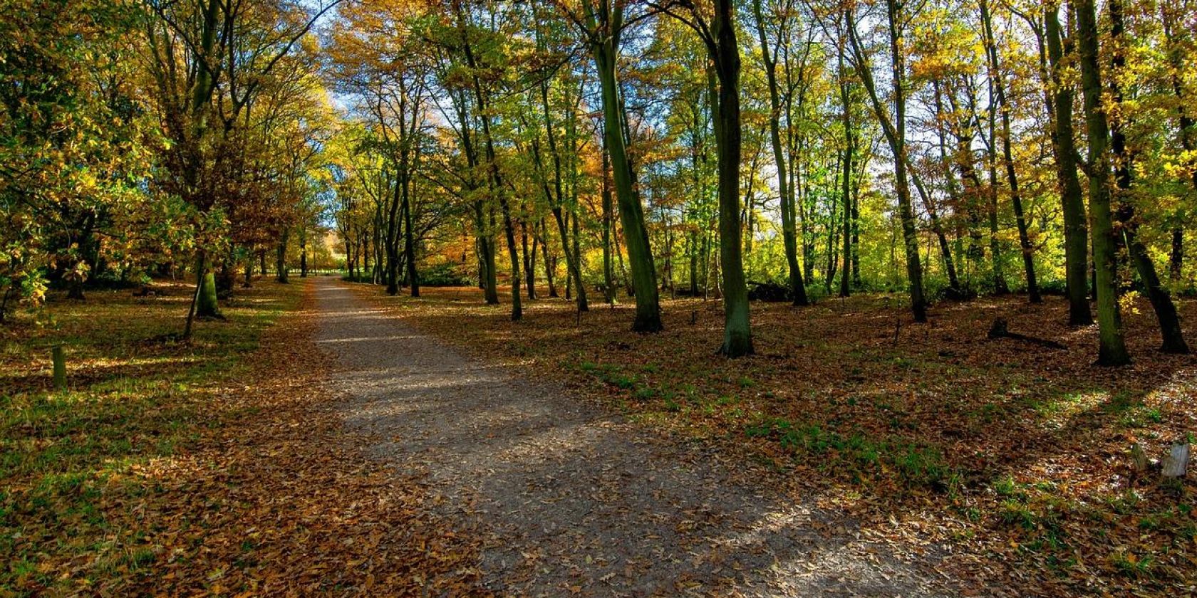 Bild von Tim Hill auf Pixabay, © Bild von Tim Hill auf Pixabay Bild von Tim Hill auf Pixabay, © Bild von Tim Hill auf Pixabay