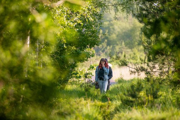 Ahlenmoorwanderung, © J. Matzke Ahlenmoorwanderung, © J. Matzke