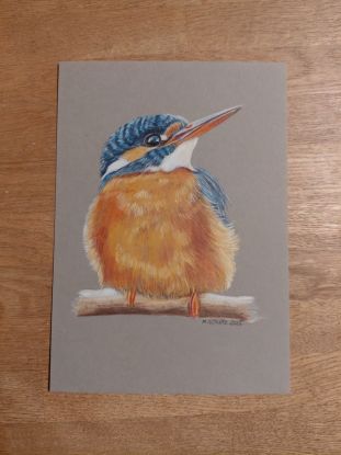 Zeichenworkshop Eisvogel, © Mientje Schultz Zeichenworkshop Eisvogel, © Mientje Schultz