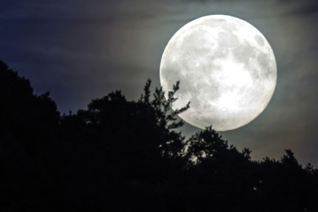 Vollmondwanderung, Quelle: Reservix Vollmondwanderung, Quelle: Reservix