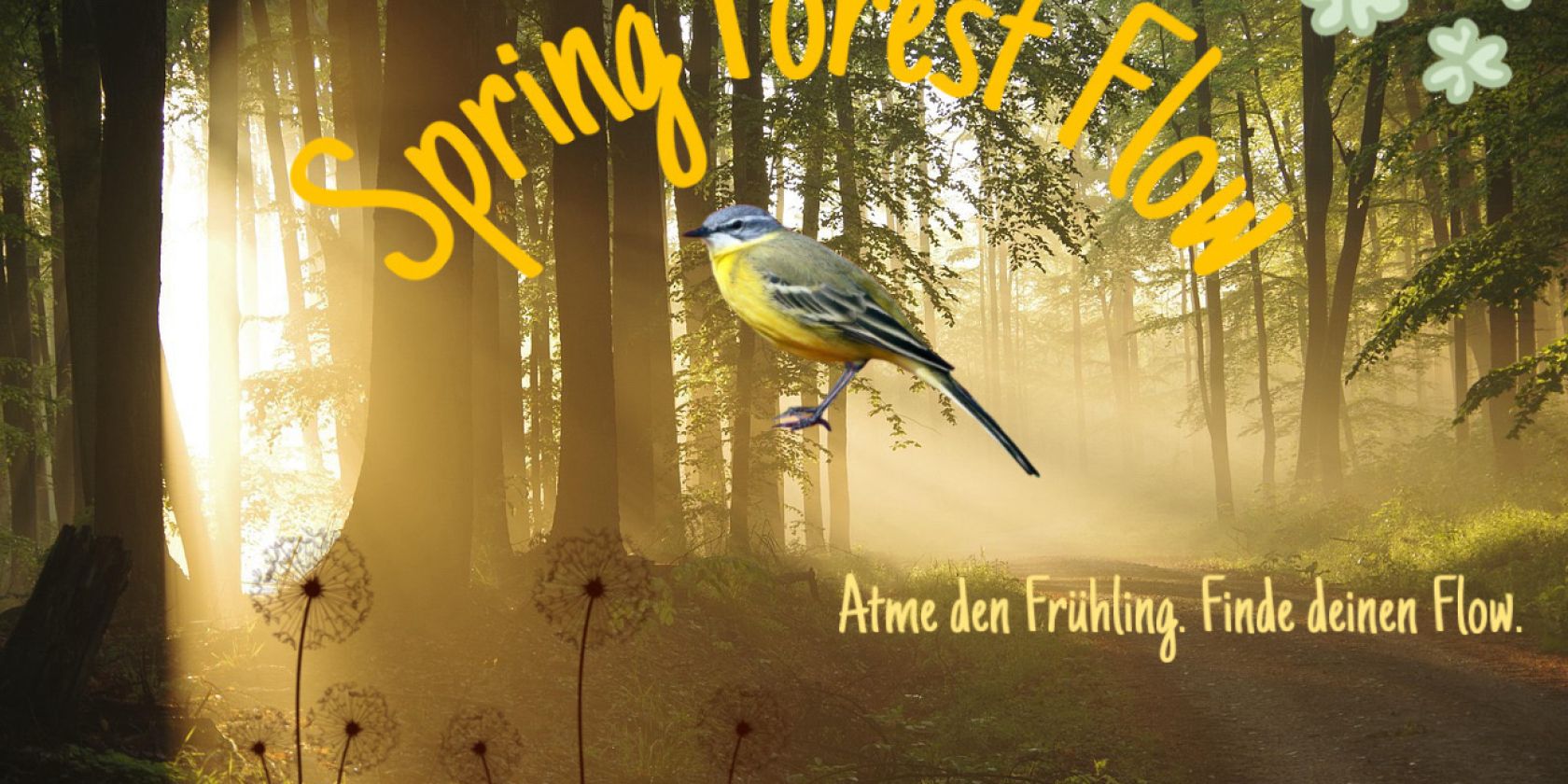 Waldbaden im Frühling Waldbaden im Frühling