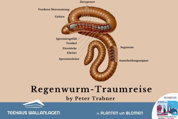 Tag des Denkmals Hamburg - Regenwurm-Traumreise, © Peter Trabner Tag des Denkmals Hamburg - Regenwurm-Traumreise, © Peter Trabner