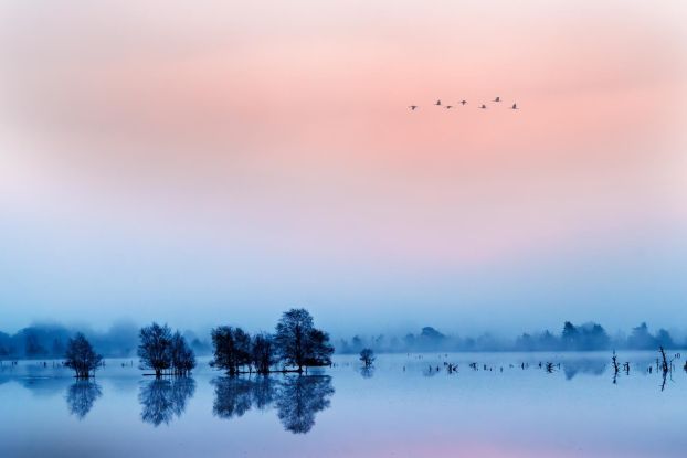 Tister Bauernmoor, © Ron Künitz Tister Bauernmoor, © Ron Künitz