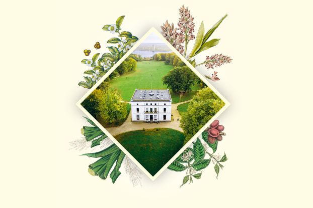 Parkomania - Unerzählte Geschichten aus dem Jenischpark, © SHMH / Foto: Jerome Gerull Parkomania - Unerzählte Geschichten aus dem Jenischpark, © SHMH / Foto: Jerome Gerull