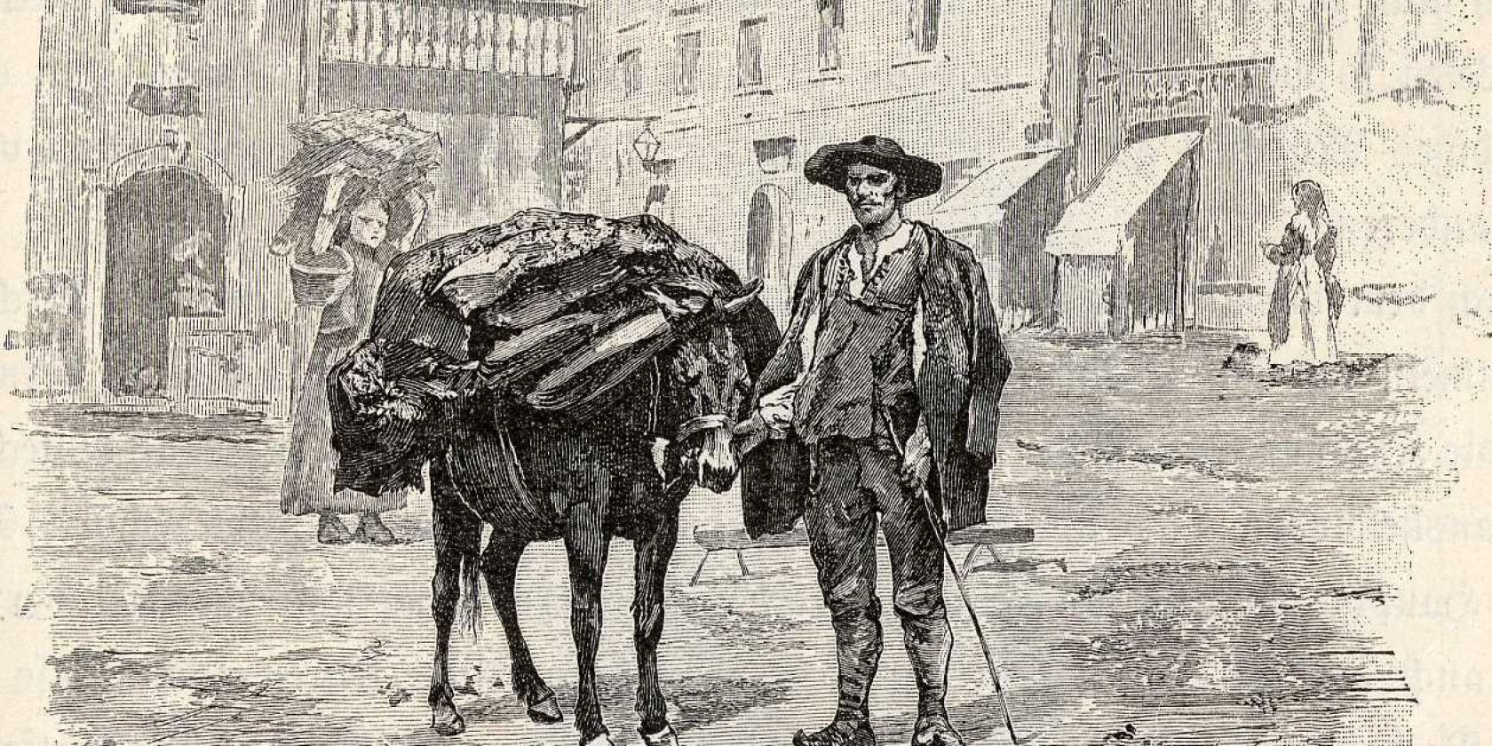 drawing_of_an_istro-romanian_from_1891, © gemeinfrei drawing_of_an_istro-romanian_from_1891, © gemeinfrei