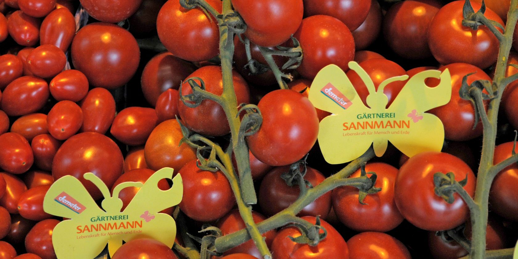 Symbolbild_St-georg, © Öko-Wochenmarkt & Regionales Symbolbild_St-georg, © Öko-Wochenmarkt & Regionales