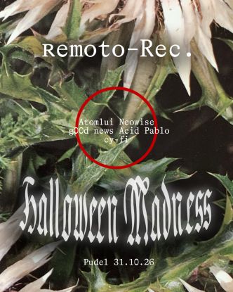 remoto-pudel-web-halloween, © remoto remoto-pudel-web-halloween, © remoto