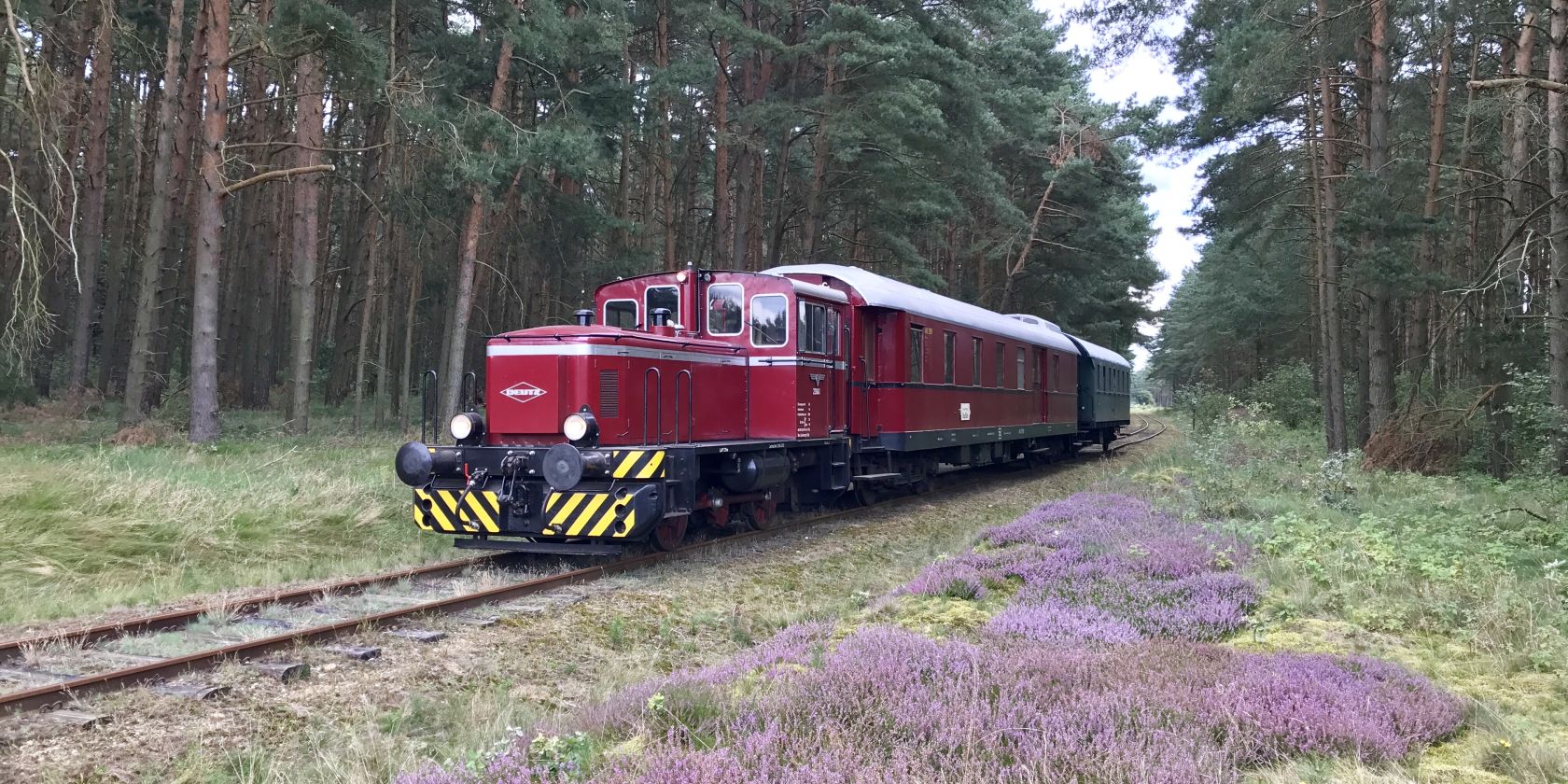 Mit der Bleckeder Kleinbahn in die Hansestadt Lüneburg, © Partner der Lüneburger Heide GmbH, AVL e.V. Mit der Bleckeder Kleinbahn in die Hansestadt Lüneburg, © Partner der Lüneburger Heide GmbH, AVL e.V.