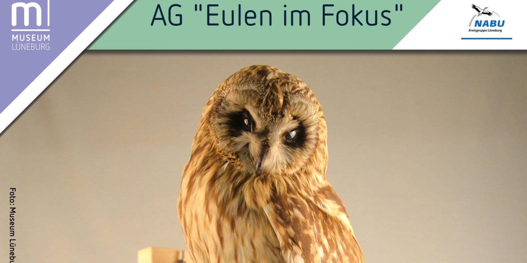 AG "Eulen im Fokus: Gemeinsam für den Artenschutz", © Museum Lüneburg AG "Eulen im Fokus: Gemeinsam für den Artenschutz", © Museum Lüneburg