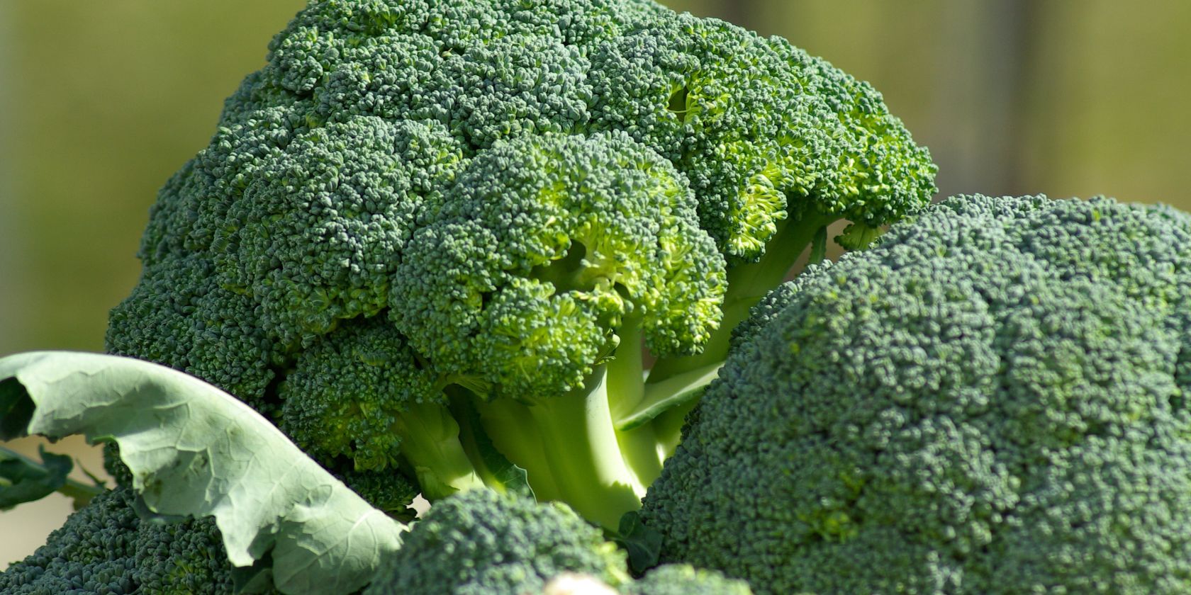 wochenmarkt_12cpixabay, © Pixabay wochenmarkt_12cpixabay, © Pixabay