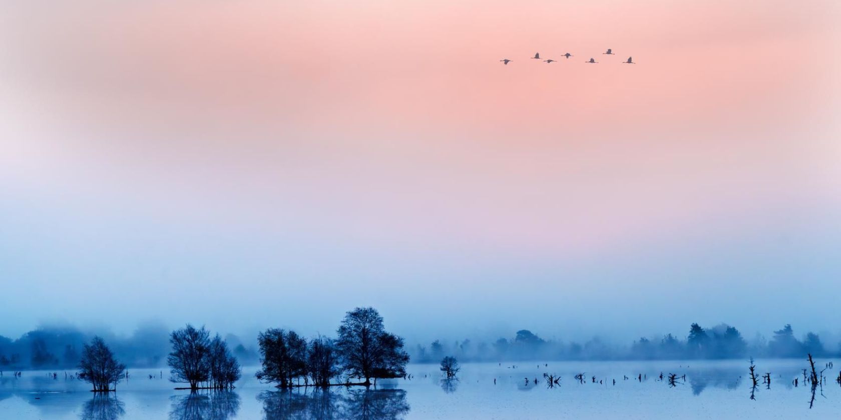 Tister Bauernmoor, © Ron Künitz Tister Bauernmoor, © Ron Künitz