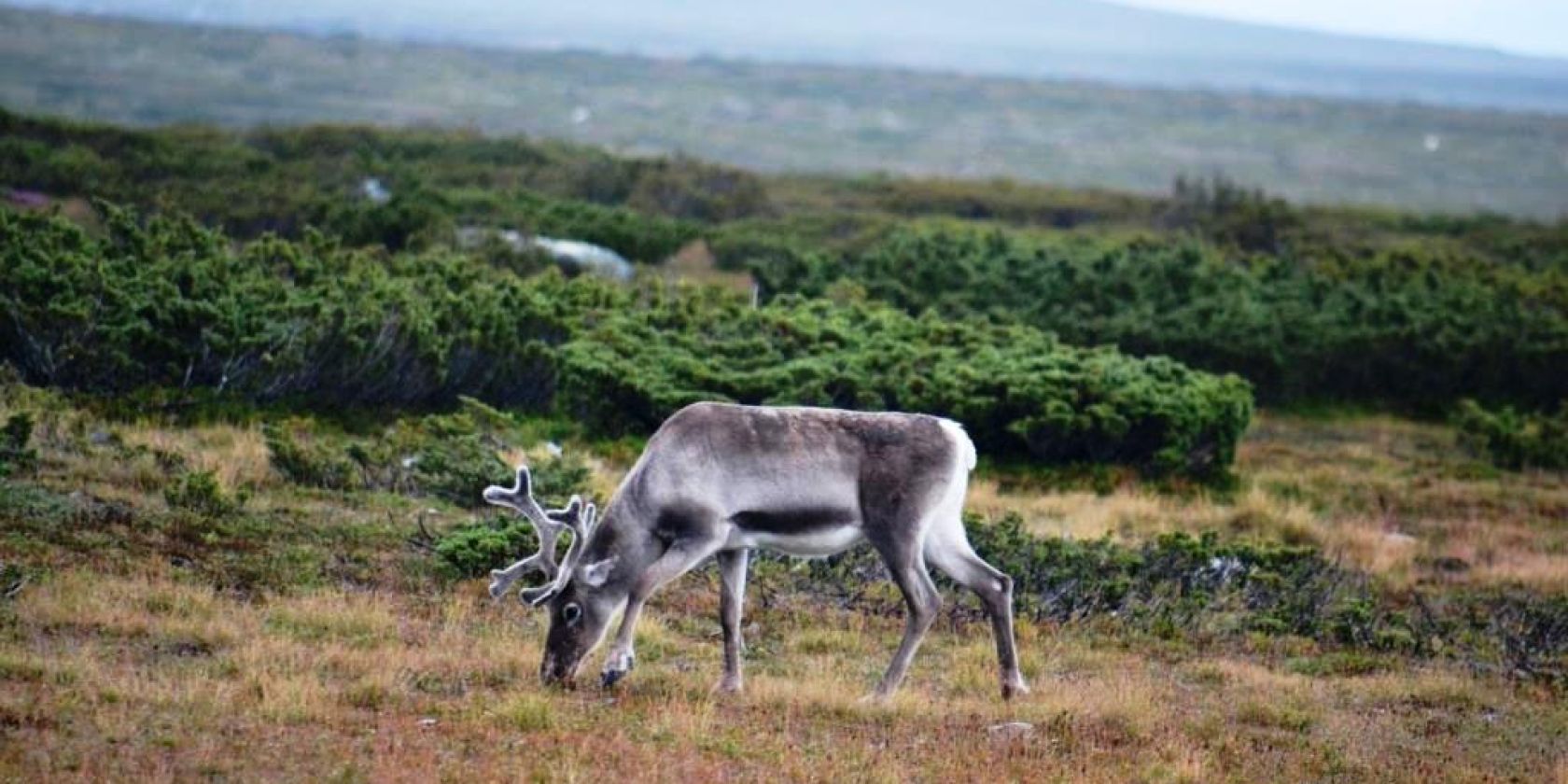 , © Wolf Leichsenring , © Wolf Leichsenring