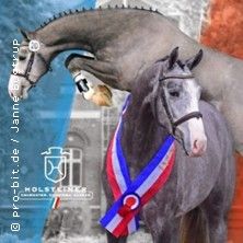 Holsteiner Körung & Auktion 2025, © links im Bild Holsteiner Körung & Auktion 2025, © links im Bild