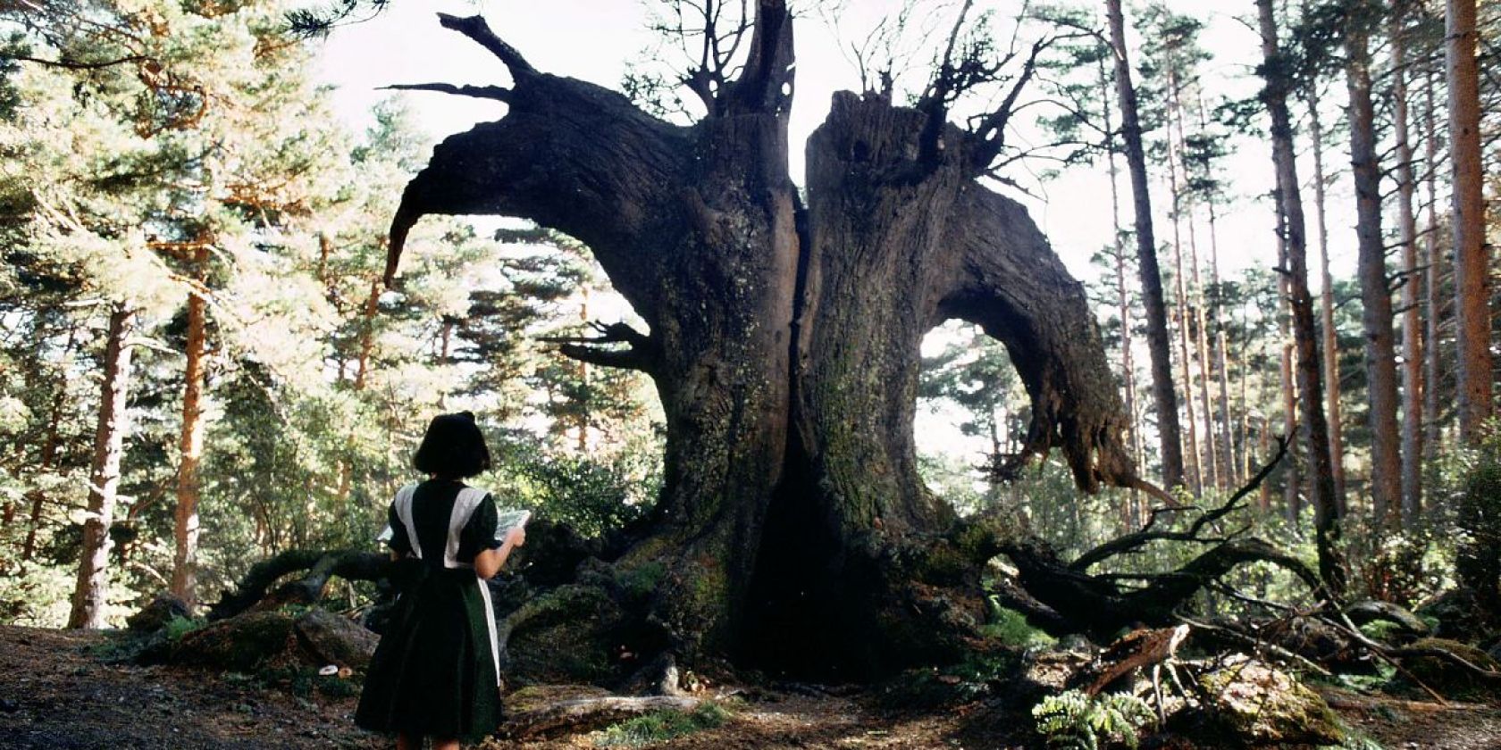 panslaybrinth5___, © https://www.studiocanal.com/title/pans-labyrinth-2005/ panslaybrinth5___, © https://www.studiocanal.com/title/pans-labyrinth-2005/