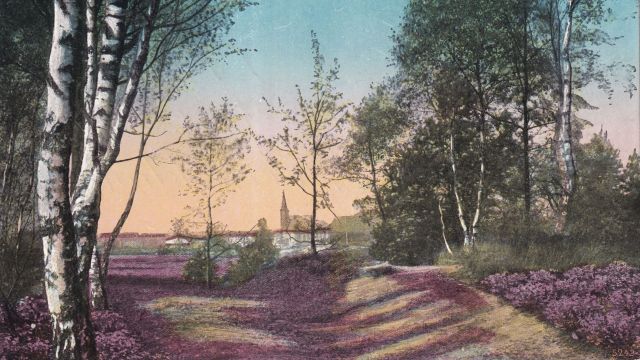 Mit August Freudenthal auf „Heidefahrt“ nach Soltau, © Freudenthal-Gesellschaft Mit August Freudenthal auf „Heidefahrt“ nach Soltau, © Freudenthal-Gesellschaft