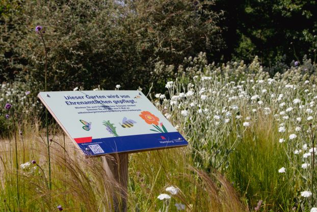 Artenvielfalt Workshop, © Marlene Hoberger Artenvielfalt Workshop, © Marlene Hoberger