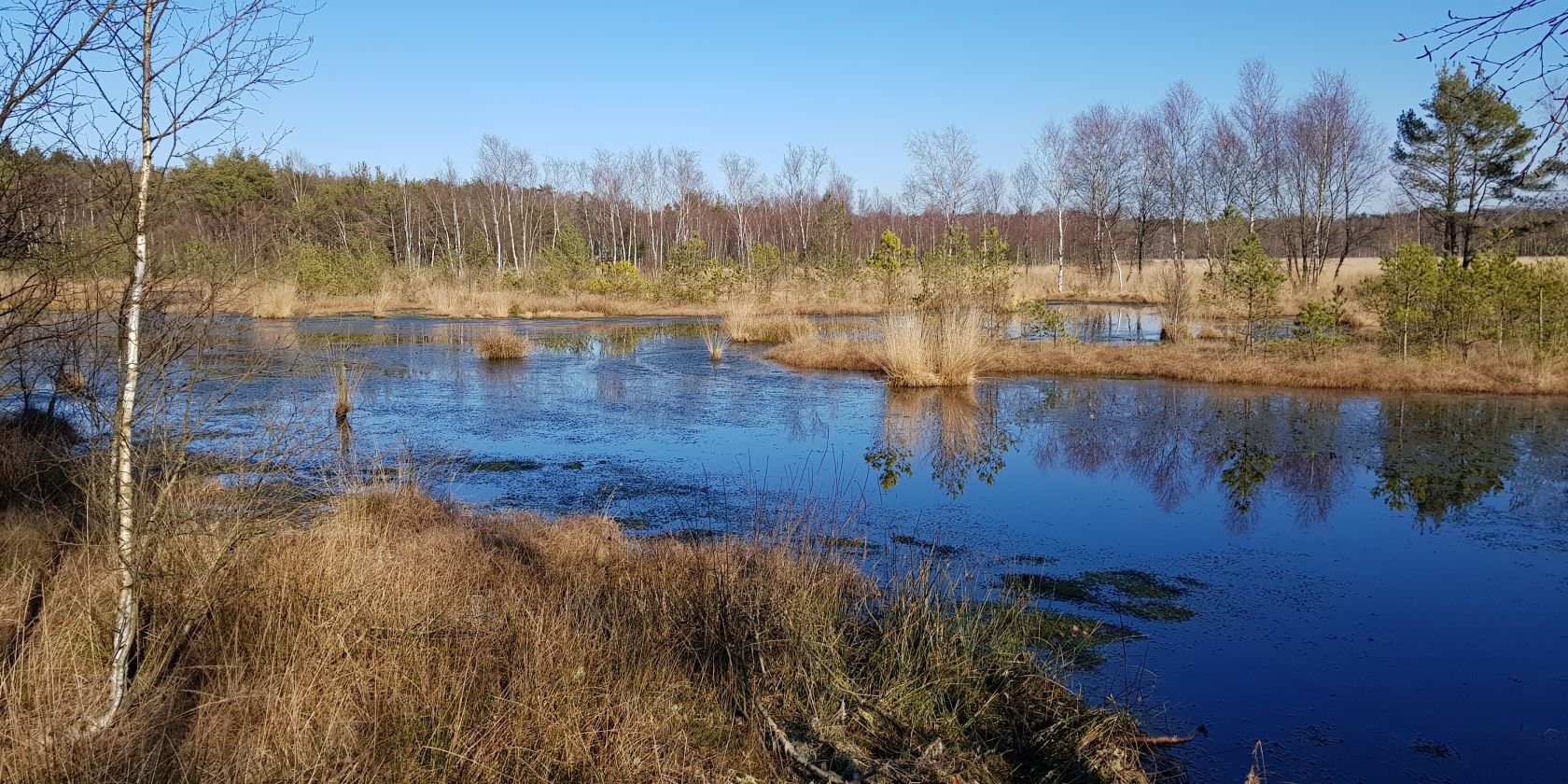 2019februarmk_2, © Schneverdingen Touristik 2019februarmk_2, © Schneverdingen Touristik