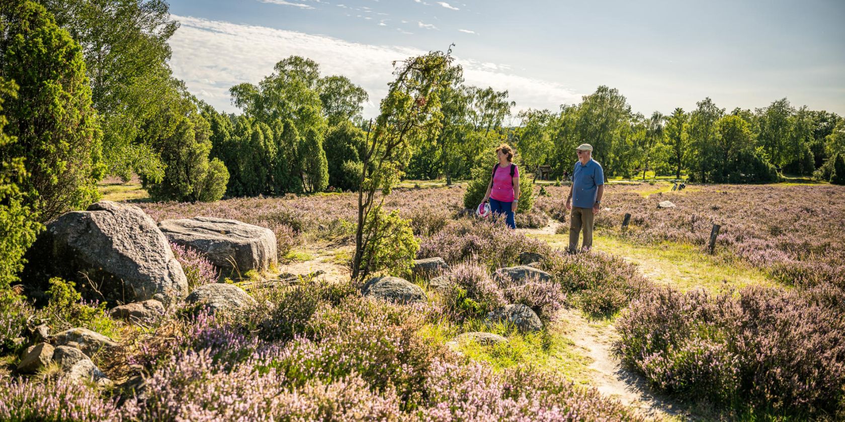 Vogelstimmen- Frühwanderung, © Erlebniswelt Lüneburger Heide GmbH, Markus Tiemann Vogelstimmen- Frühwanderung, © Erlebniswelt Lüneburger Heide GmbH, Markus Tiemann