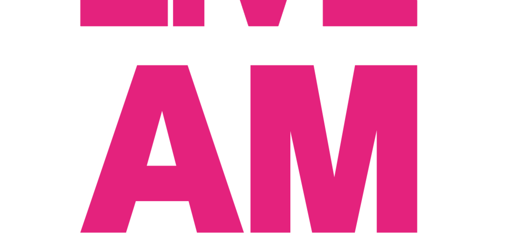 LIVE AM TEICH, © Feuer und Flamme e.V. LIVE AM TEICH, © Feuer und Flamme e.V.