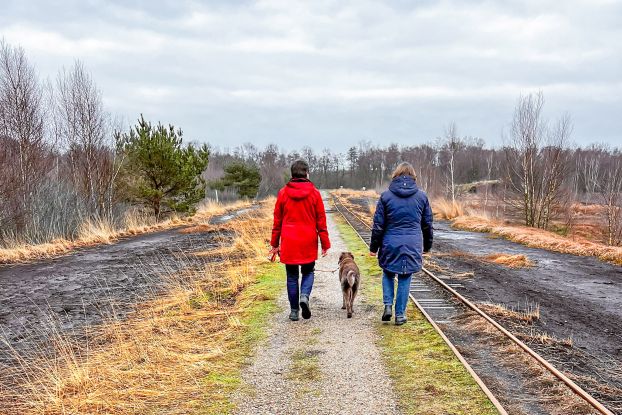 Zwei Menschen spazieren mit einem Hund in der Mitte durch das Himmelmoor., © Johanniter-Unfall-Hilfe e.V. Zwei Menschen spazieren mit einem Hund in der Mitte durch das Himmelmoor., © Johanniter-Unfall-Hilfe e.V.