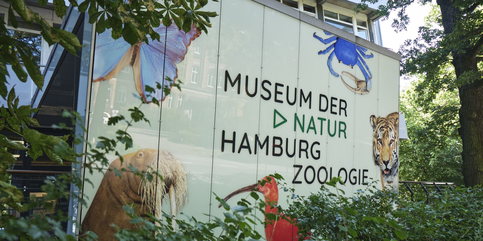 zoologie_-benjamin-pichelmann, © Benjamin Pichelmann zoologie_-benjamin-pichelmann, © Benjamin Pichelmann