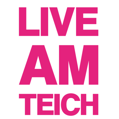 LIVE AM TEICH, &copy; Feuer und  Flamme e.V.