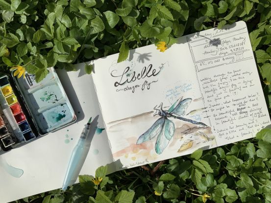 Nature Journaling, &copy; Claudia Keil-Werner