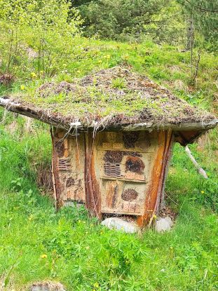 Gartenseminar - naturnahe Gartengestaltung, &copy; Andrea Pflaum