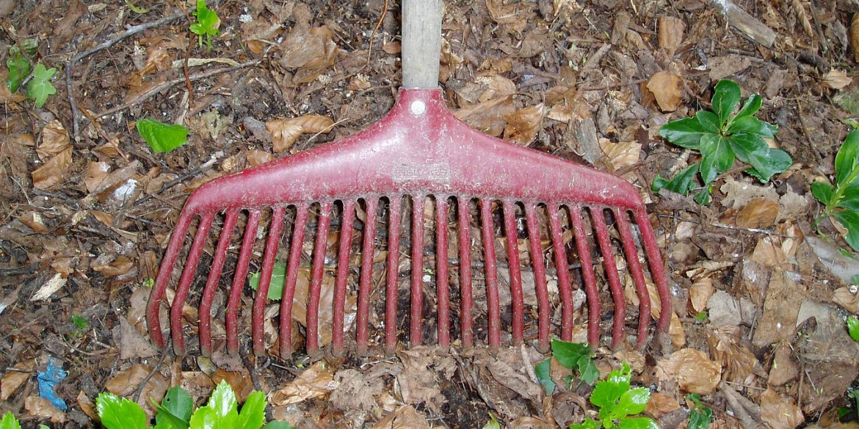 Harke - Gartenpflege  im Herbst, © Helge Masch