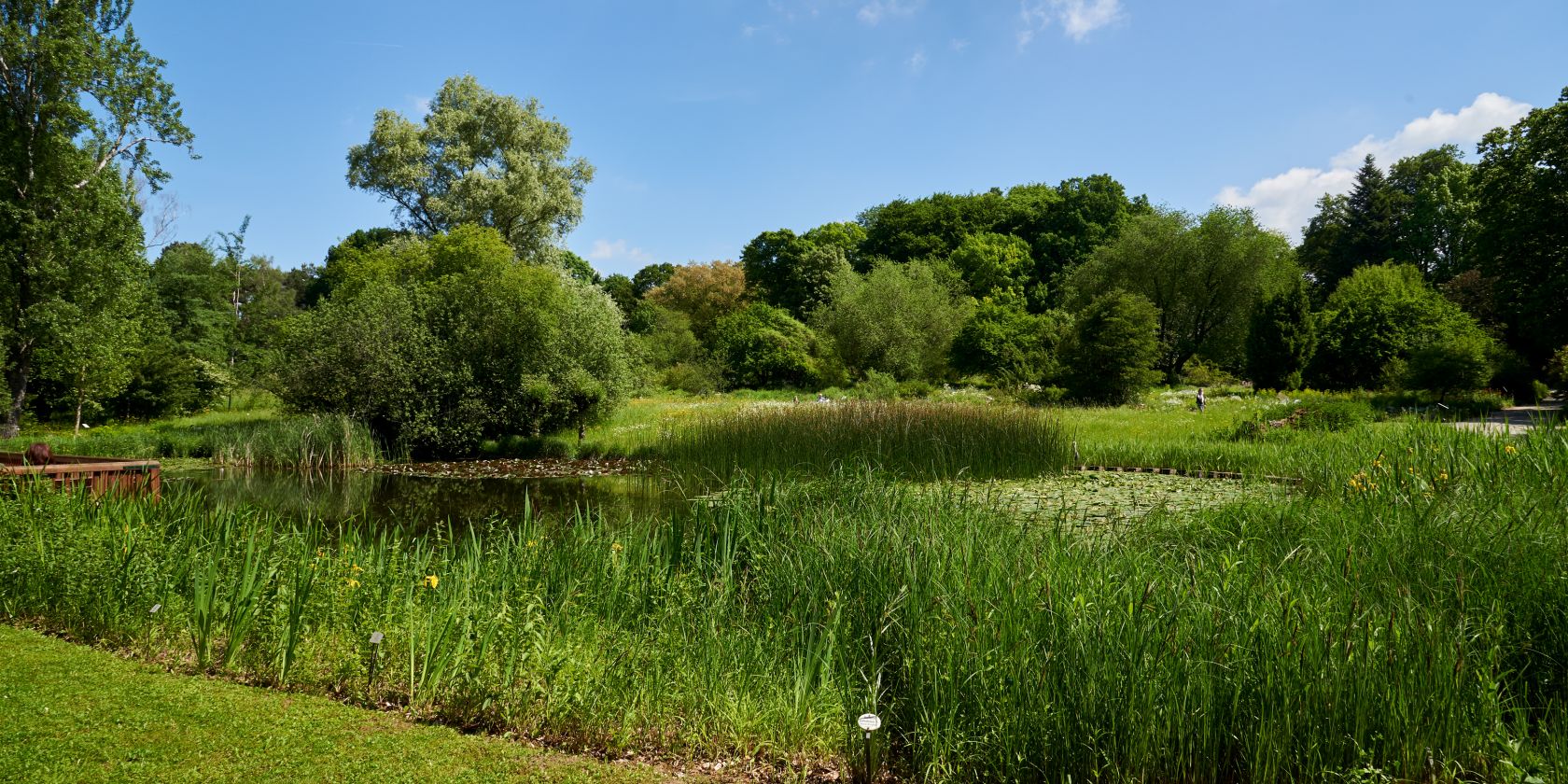 Botanischer Garten Frankfurt, © Tom Wolf