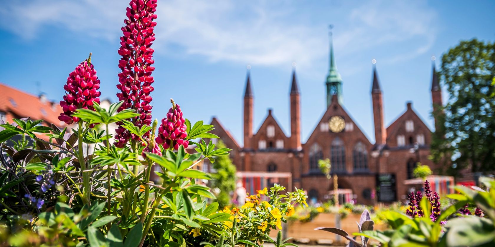 SOMMERGARTEN L&Uuml;BECK, &copy; LTM