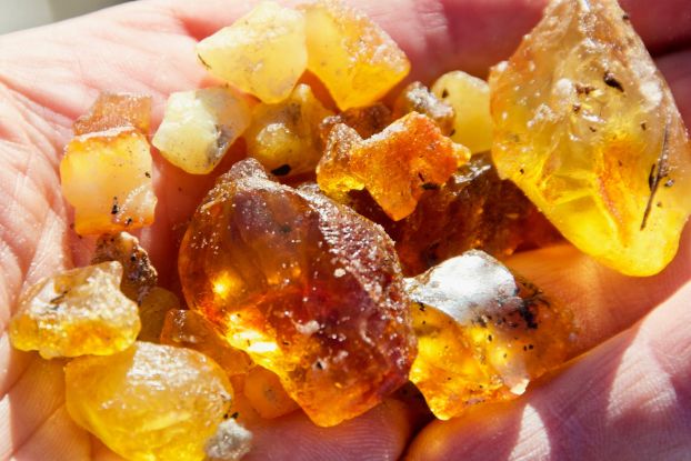 Bernstein, &copy; Schutzstation Wattenmeer e.V.