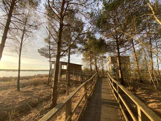 Planmäßige Moorbahnfahrten ins Tister Bauernmoor, © Ingrid Krause - Touristikverband LK Rotenburg