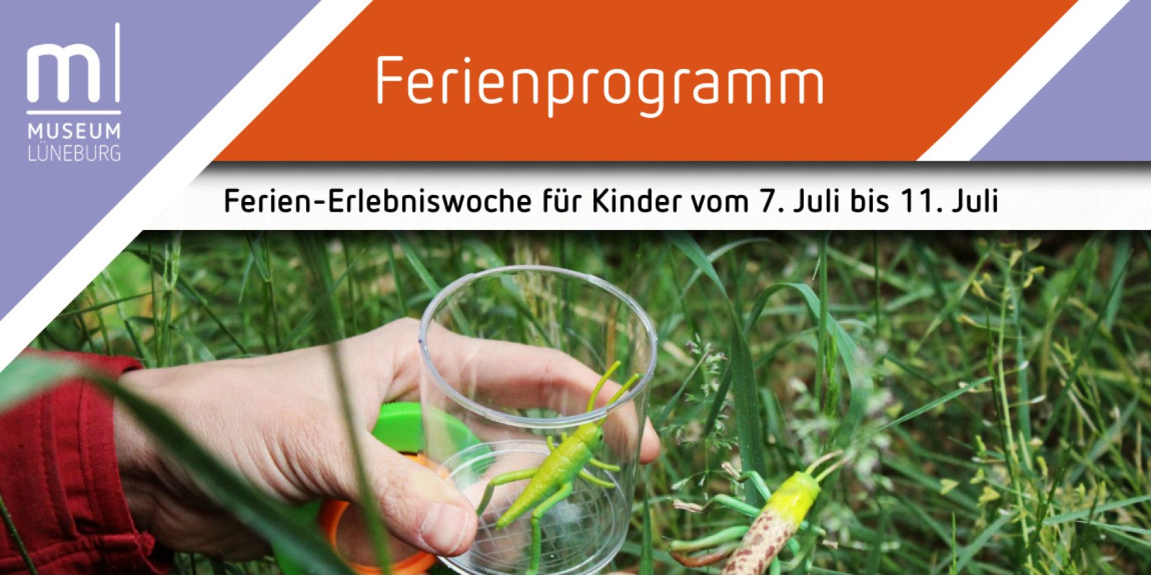 Insekten-Erlebniswoche, © Museum Lüneburg