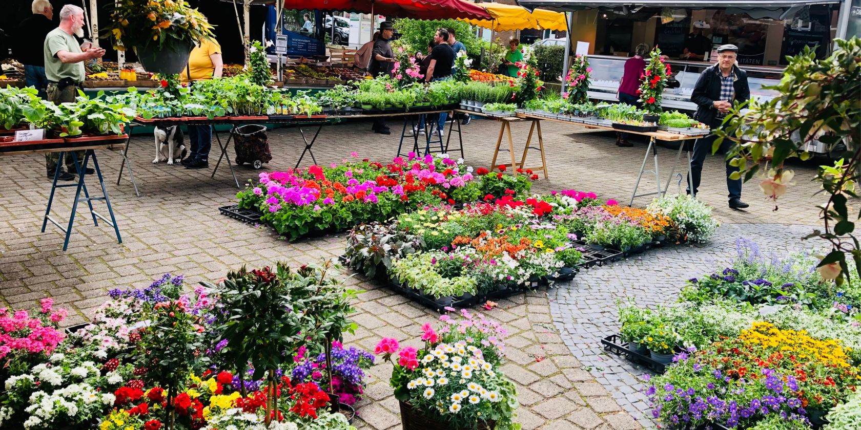 Ebstorfer Wochenmarkt, © Urlaubsregion Ebstorf e.V.