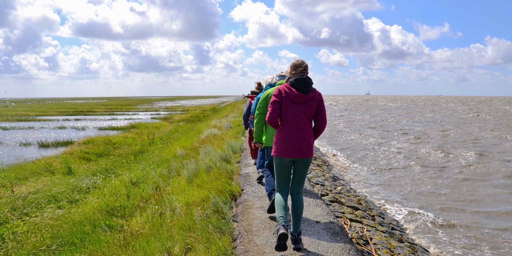 Auf dem Trischendamm durch das Weltnaturerbe Wattenmeer, © Schutzstation Wattenmeer e. V.