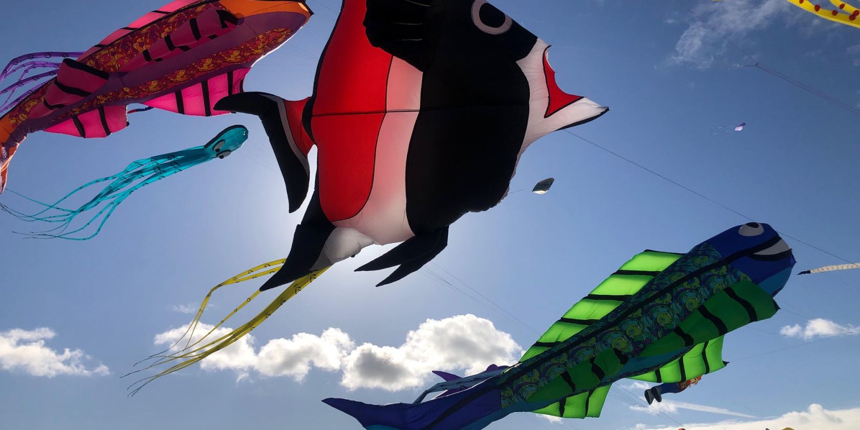 Drachenfest Fehmarn, © Drachenfest_©S. Rupsch.jpg