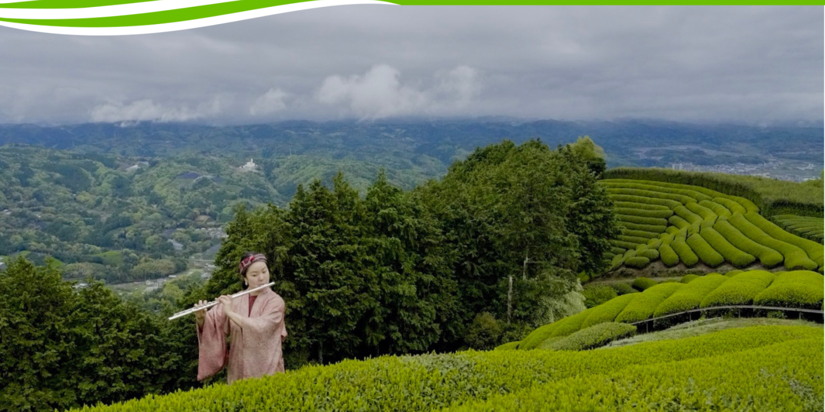 Vorlagen PuB Veranstaltungskalender (40), &copy; Mengqi Wang