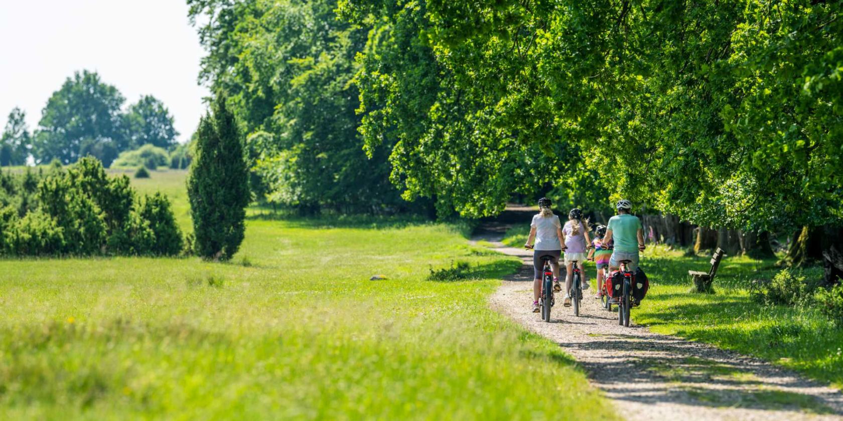 Gef&uuml;hrte Radtouren durch die L&uuml;neburger Heide buchen, &copy; Bispingen Touristik, Markus Tiemann