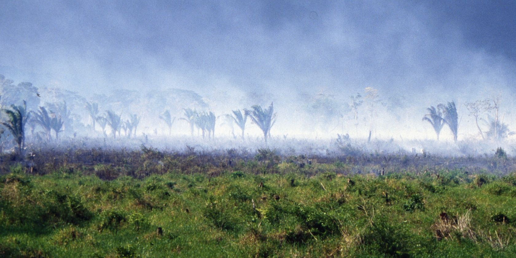 Waldbrand im Petén, © Frank Herrmann