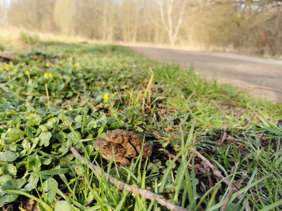 Kr&ouml;ten BUND, &copy; BUND