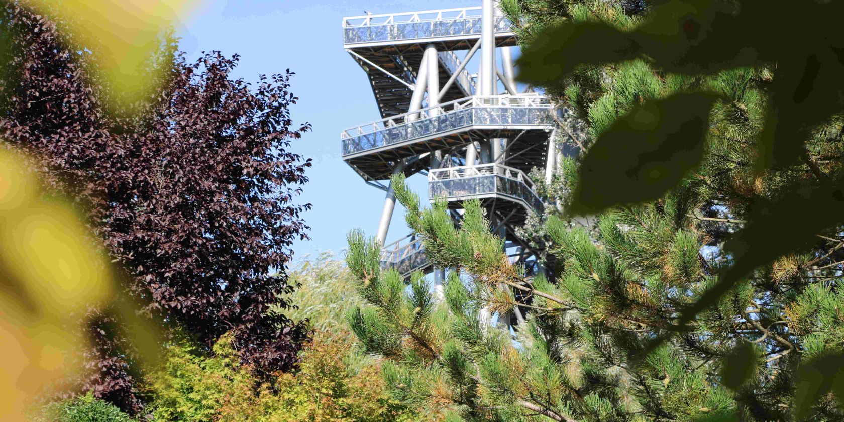 DGT 5 &copy; DIE GARTEN TULLN_A. Buchinger, &copy; DIE GARTEN TULLN_A. Buchinger