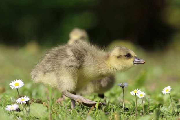 termin_21.04.26_IMG_9556, &copy; Neunt&ouml;ter - Verein f&uuml;r Forschung und Vielfalt e. V.