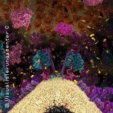 Die Chemie des Lebens – Das Unsichtbare in uns 3D, © links im Bild